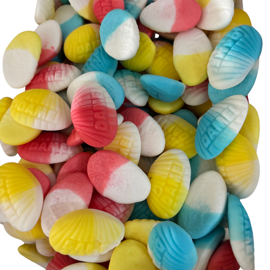 Coquillage 100Gr